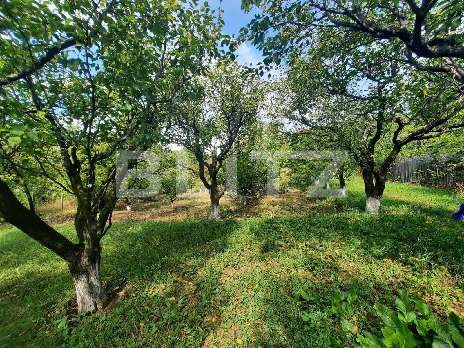 Teren de vânzare Pietrarie - 96865TV | BLITZ Iași | Poza5