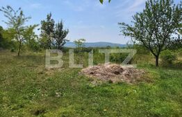 Teren intravilan, 2632 mp, front de 20.7 m, in Ciurea