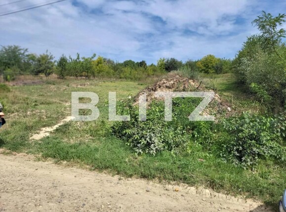 Teren de vânzare Ciurea - 97024TV | BLITZ Iași | Poza3
