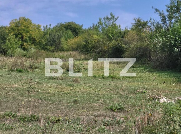 Teren de vânzare Ciurea - 97024TV | BLITZ Iași | Poza5