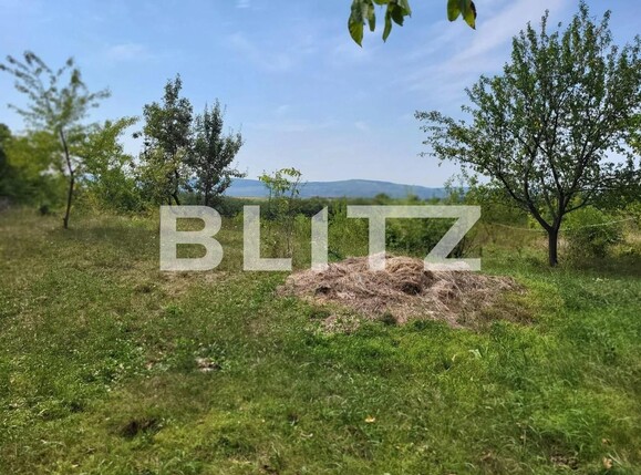 Teren de vânzare Ciurea - 97024TV | BLITZ Iași | Poza4