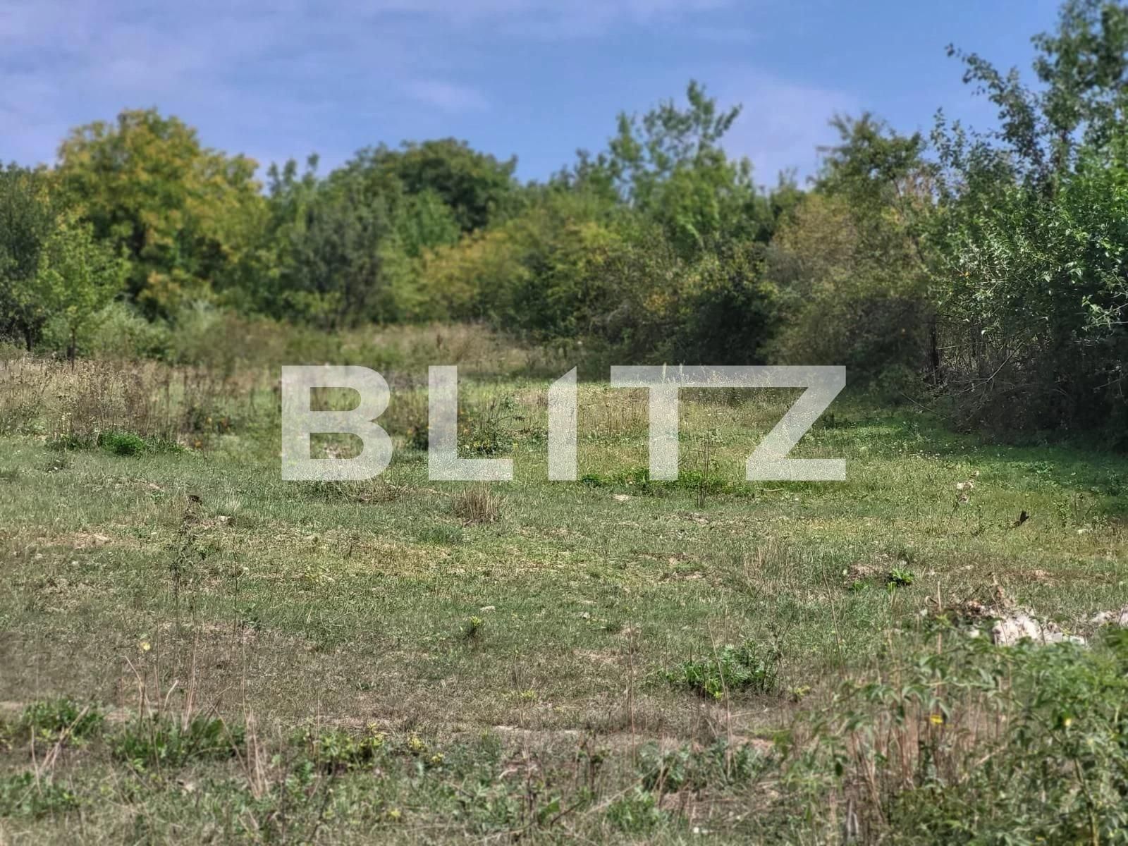 Teren de vânzare Ciurea - 97024TV | BLITZ Iași | Poza5