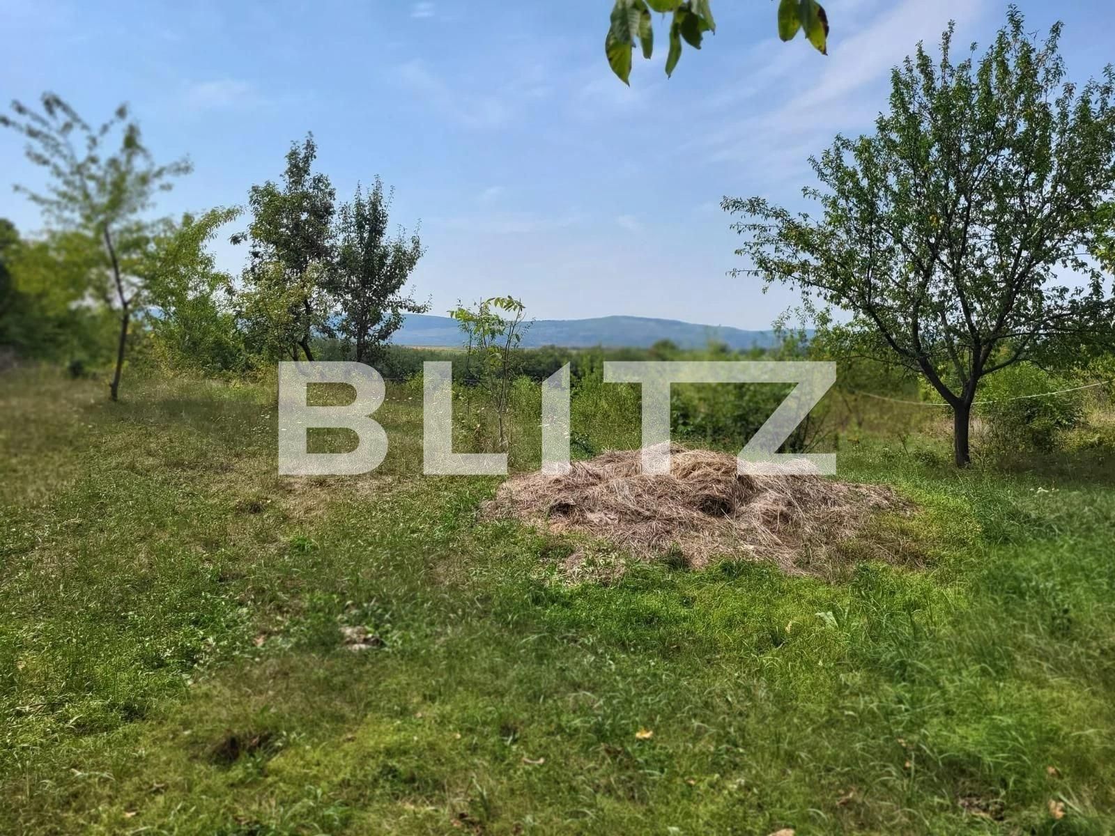 Teren de vânzare Ciurea - 97024TV | BLITZ Iași | Poza4