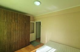 Apartament 2 camere, 47 mp, etaj intermediar, Blocuri Pacurari