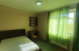 Apartament 2 camere, 47 mp, etaj intermediar, Blocuri Pacurari