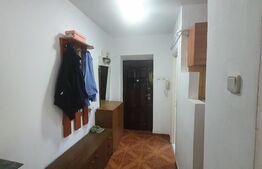 Apartament 2 camere, 47 mp, etaj intermediar, Blocuri Pacurari
