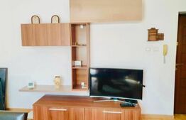 Apartament de 2 camere, 43mp, zona Valea Lupului