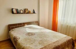 Apartament de 2 camere, 43mp, zona Valea Lupului
