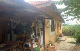 Casa 4 camere, 140 mp, Goruni