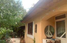 Casa 4 camere, 140 mp, Goruni