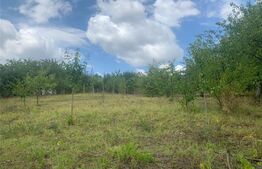 Casa 4 camere, 140 mp, Goruni