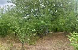 Casa 4 camere, 140 mp, Goruni