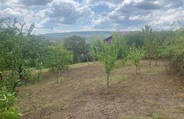 Casa 4 camere, 140 mp, Goruni