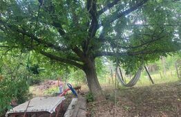 Casa 4 camere, 140 mp, Goruni