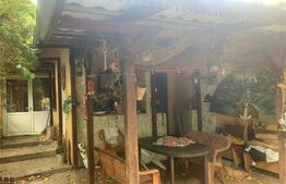 Casa 4 camere, 140 mp, Goruni