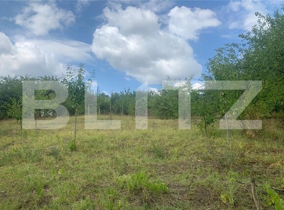 Casa de vânzare 3 camere Tomesti - 97410CV | BLITZ Iași | Poza6