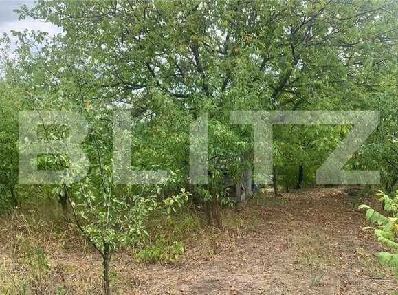 Casa de vânzare 3 camere Tomesti - 97410CV | BLITZ Iași | Poza5