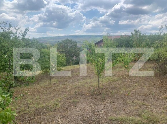 Casa de vânzare 3 camere Tomesti - 97410CV | BLITZ Iași | Poza7