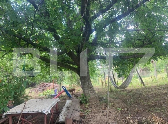 Casa de vânzare 3 camere Tomesti - 97410CV | BLITZ Iași | Poza4