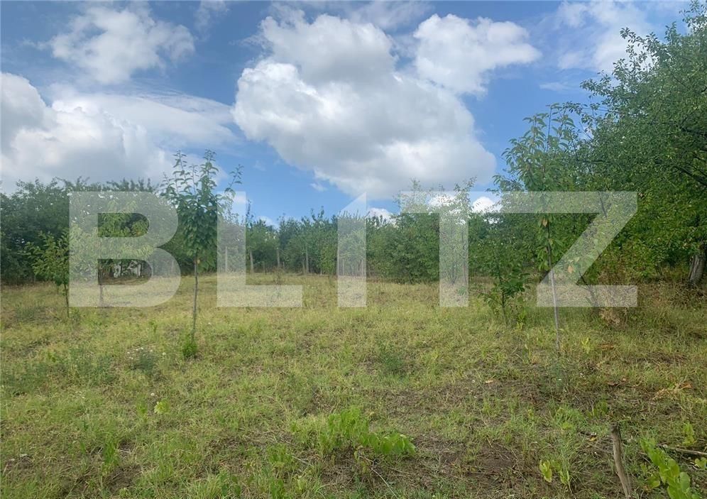 Casa de vânzare 3 camere Tomesti - 97410CV | BLITZ Iași | Poza6