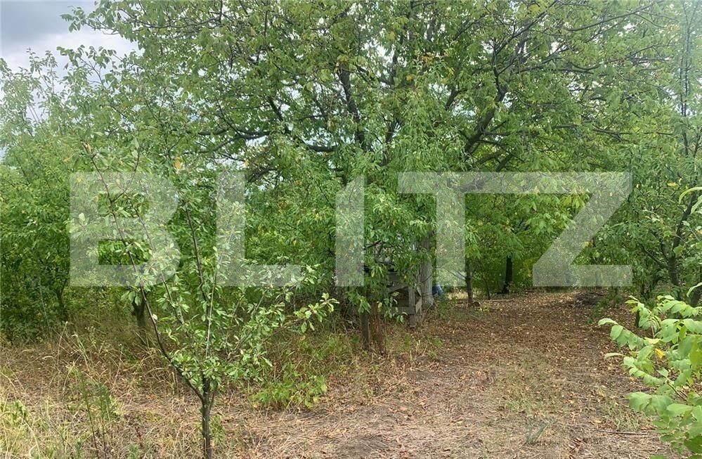 Casa de vânzare 3 camere Tomesti - 97410CV | BLITZ Iași | Poza5