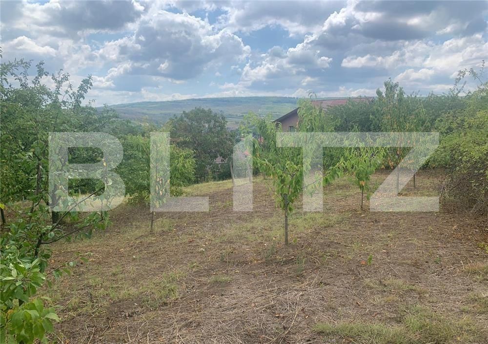 Casa de vânzare 3 camere Tomesti - 97410CV | BLITZ Iași | Poza7