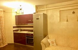 Apartament de 2 camere, 41mp, etaj intermediar, zona Pacurari