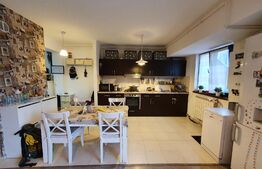 Penthouse 75 mp utili + terasa 38 mp, 3 camere, 2 bai, Greenpark Tatarasi 