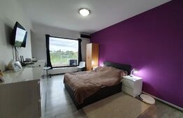 Penthouse 75 mp utili + terasa 38 mp, 3 camere, 2 bai, Greenpark Tatarasi 