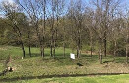 Teren intravilan 5500mp, Blvd C.A.Rosetti