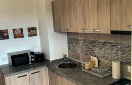 Garsoniera de 33 mp, Exterior Vest