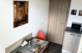 Garsoniera de 33 mp, Exterior Vest