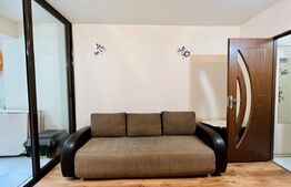 Garsoniera de 23mp, etaj intermediar, zona Alexandru cel Bun
