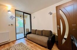 Garsoniera de 23mp, etaj intermediar, zona Alexandru cel Bun