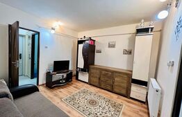 Garsoniera de 23mp, etaj intermediar, zona Alexandru cel Bun