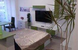 Apartament 1 camera, 41 mp, zona Metalurgie