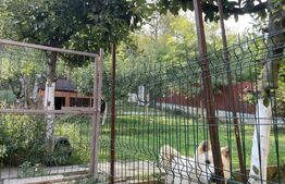 Penthouse cu 4 camere, 150 mp, teren 300 mp, terasa, Nicolina