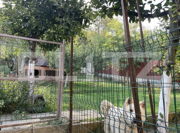 Casa de vânzare 4 camere Nicolina - 98492CV | BLITZ Iași | Poza3