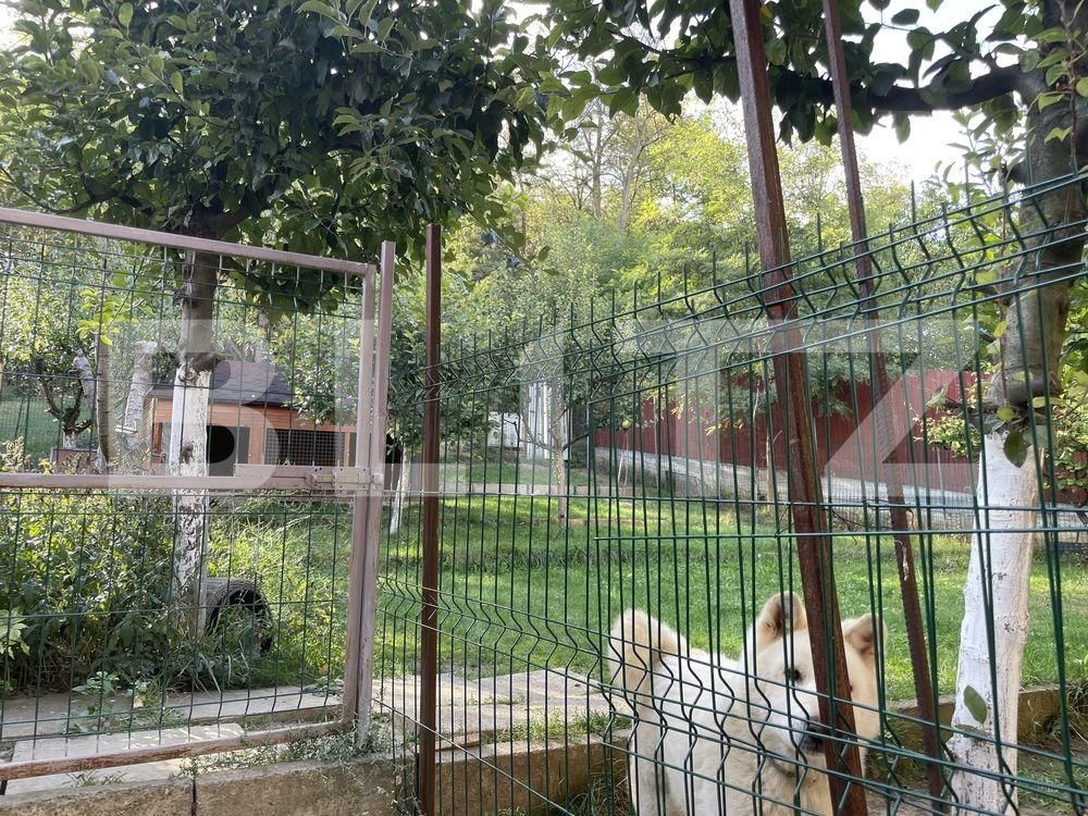 Casa de vânzare 4 camere Nicolina - 98492CV | BLITZ Iași | Poza3