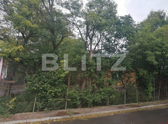 Teren de vânzare Bucsinescu - 98497TV | BLITZ Iași | Poza2