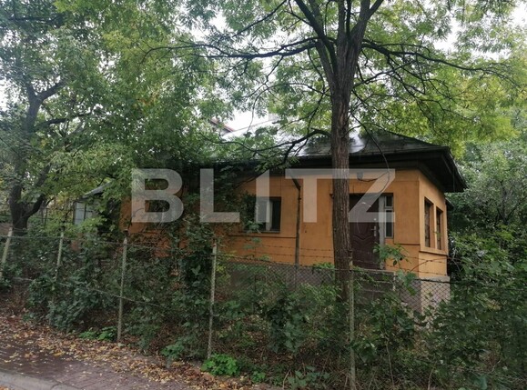 Teren de vânzare Bucsinescu - 98497TV | BLITZ Iași | Poza1