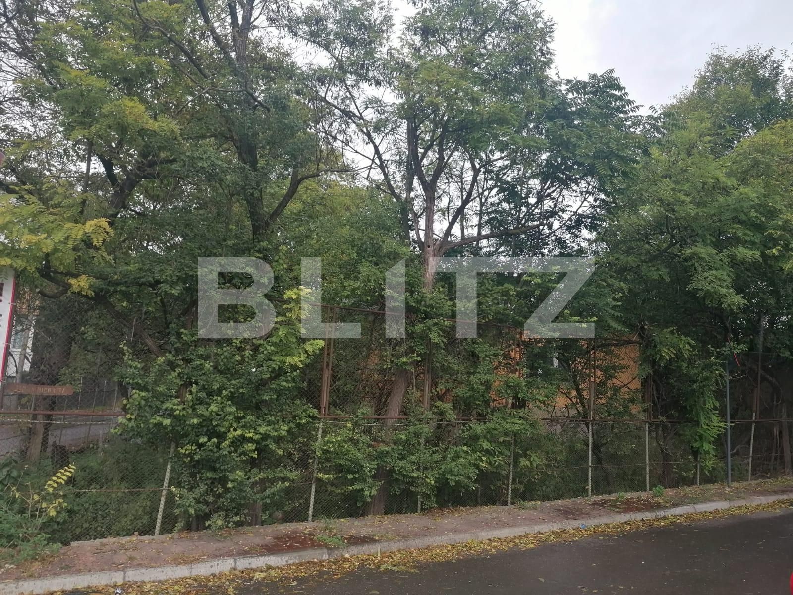 Teren de vânzare Bucsinescu - 98497TV | BLITZ Iași | Poza2