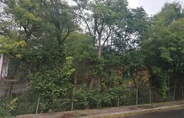 Teren 500 mp in oras, bine pozitionat,  deschidere la 2 strazi