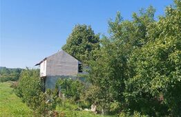 Casa 2 camere, 55 mp, teren de 1500mp, zona Grajduri