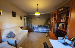 Apartament de 3 camere, 74 mp, etaj intermediar, Podul de Fier