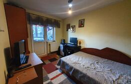 Apartament de 3 camere, 74 mp, etaj intermediar, Podul de Fier