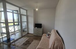 Apartament 1 camera, 30mp, etaj intermediar, Visoianu