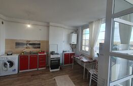 Apartament 1 camera, 30mp, etaj intermediar, Visoianu