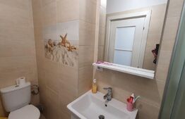 Apartament 1 camera, 30mp, etaj intermediar, Visoianu