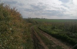 Teren 3000 mp, extravilan, Miroslava